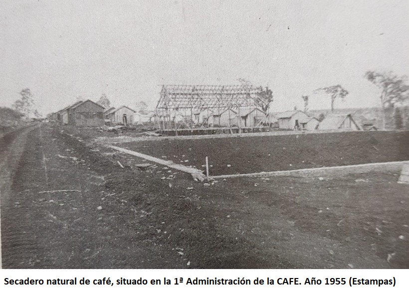 La acción de la C.A.F.E. en el Amambay. Inversión inútil (Final)