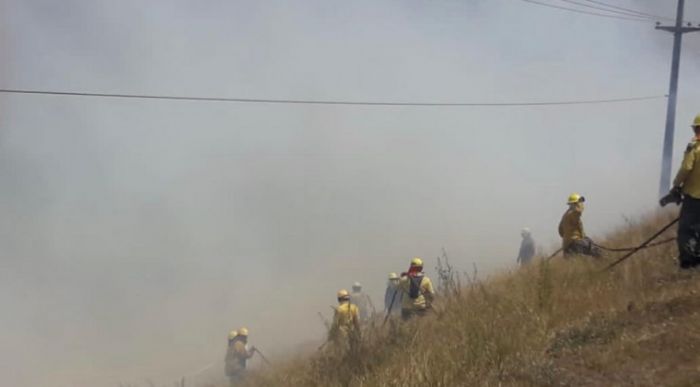Incendio en reserva de Yacyretá: lluvias y bomberos aplacaron el fuego