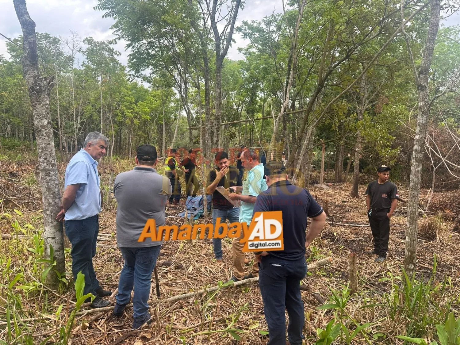 Allanan inmueble de la Cooperativa Mborayhu por denuncia de invasión y tala ilegal de árboles