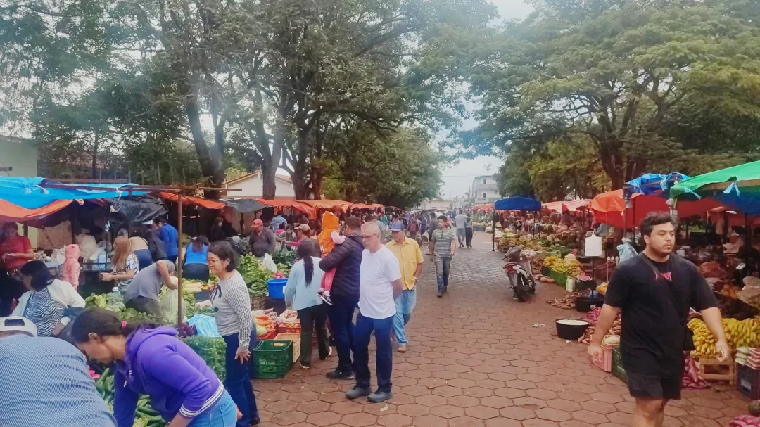 Feria Libre del Productor: Un festín de frescura y tradición