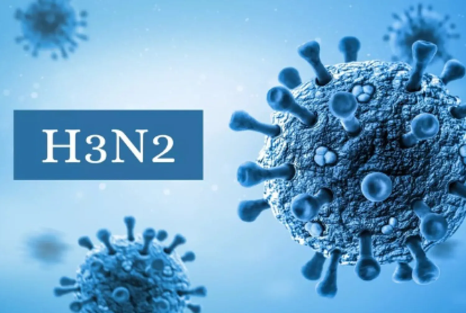 Advierten sobre la agresividad de la nueva cepa de Influenza H3N2 y la baja tasa de vacunación