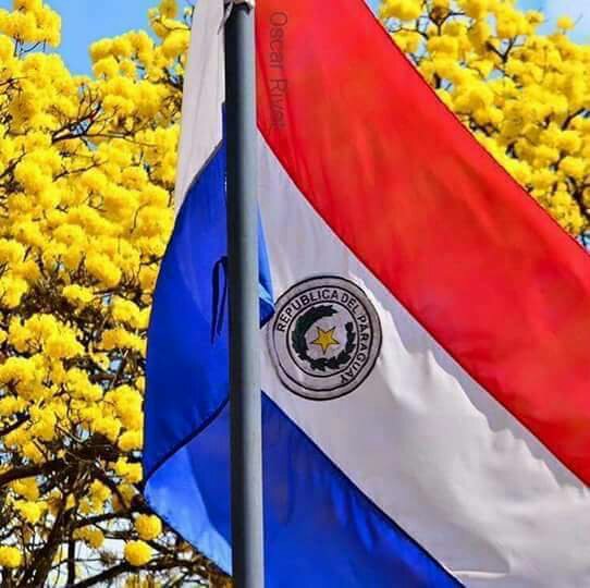Se celebra este domingo el Día de la Bandera