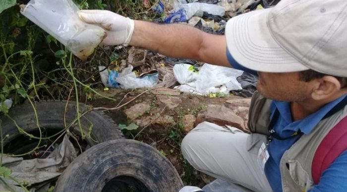 Declaran emergencia en Asunción y Central ante aumento de casos de dengue