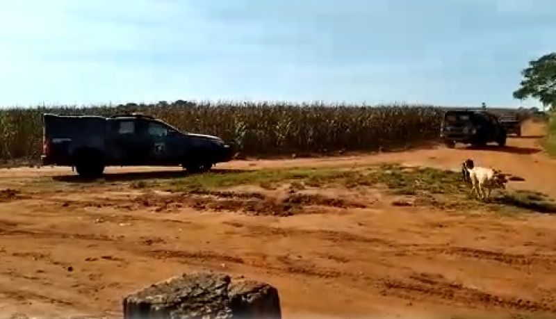 BRASIL: Enfrentamiento entre policías e indígenas en Amambai deja varios heridos