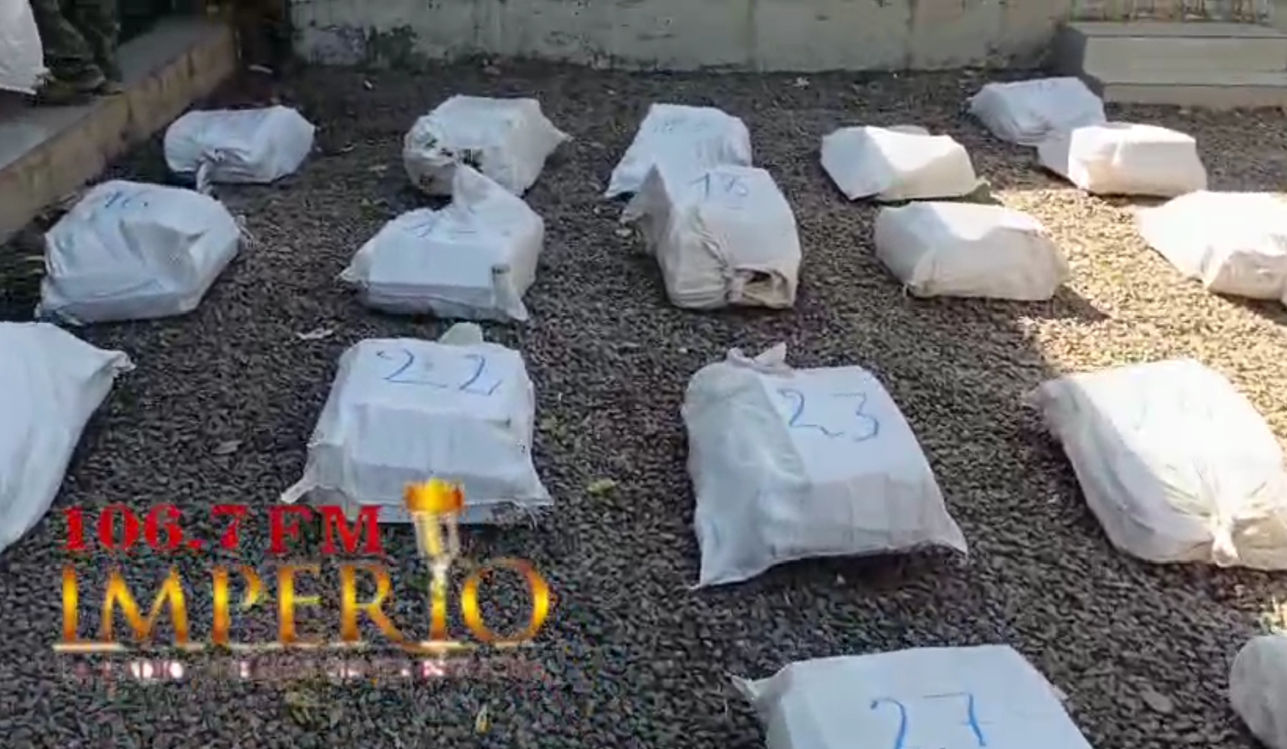 Antinarcóticos decomisa 800 kilos de marihuana en un establecimiento rural
