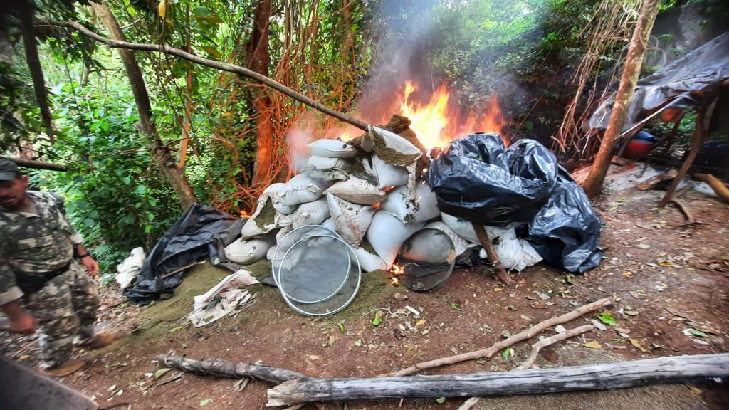SENAD destruyó plantaciones e incineró cerca de 2 toneladas de supuesta marihuana