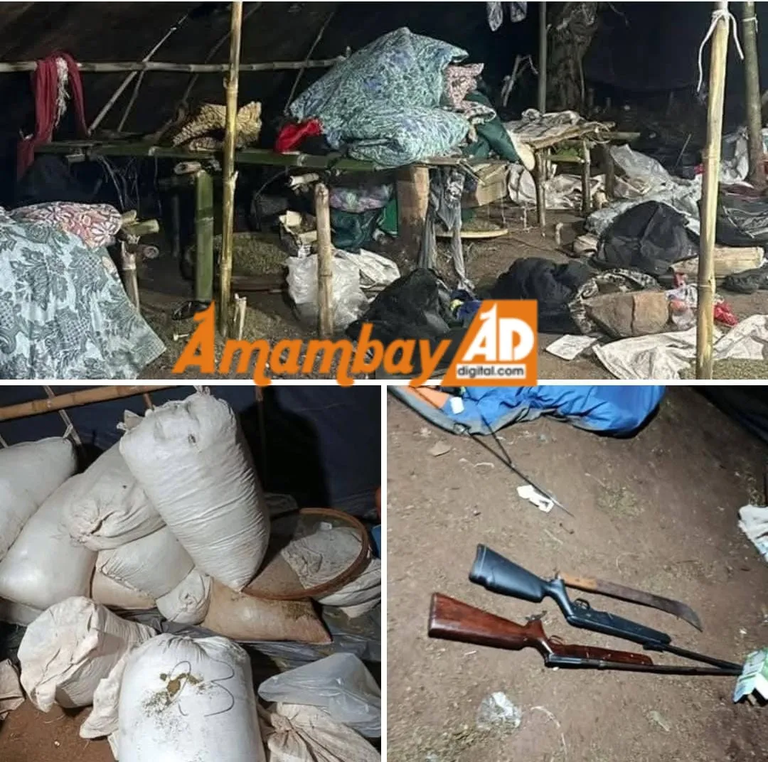 Megaoperativo "Green Justice" en Capitán Bado: Caen nueve presuntos narcotraficantes con toneladas de marihuana