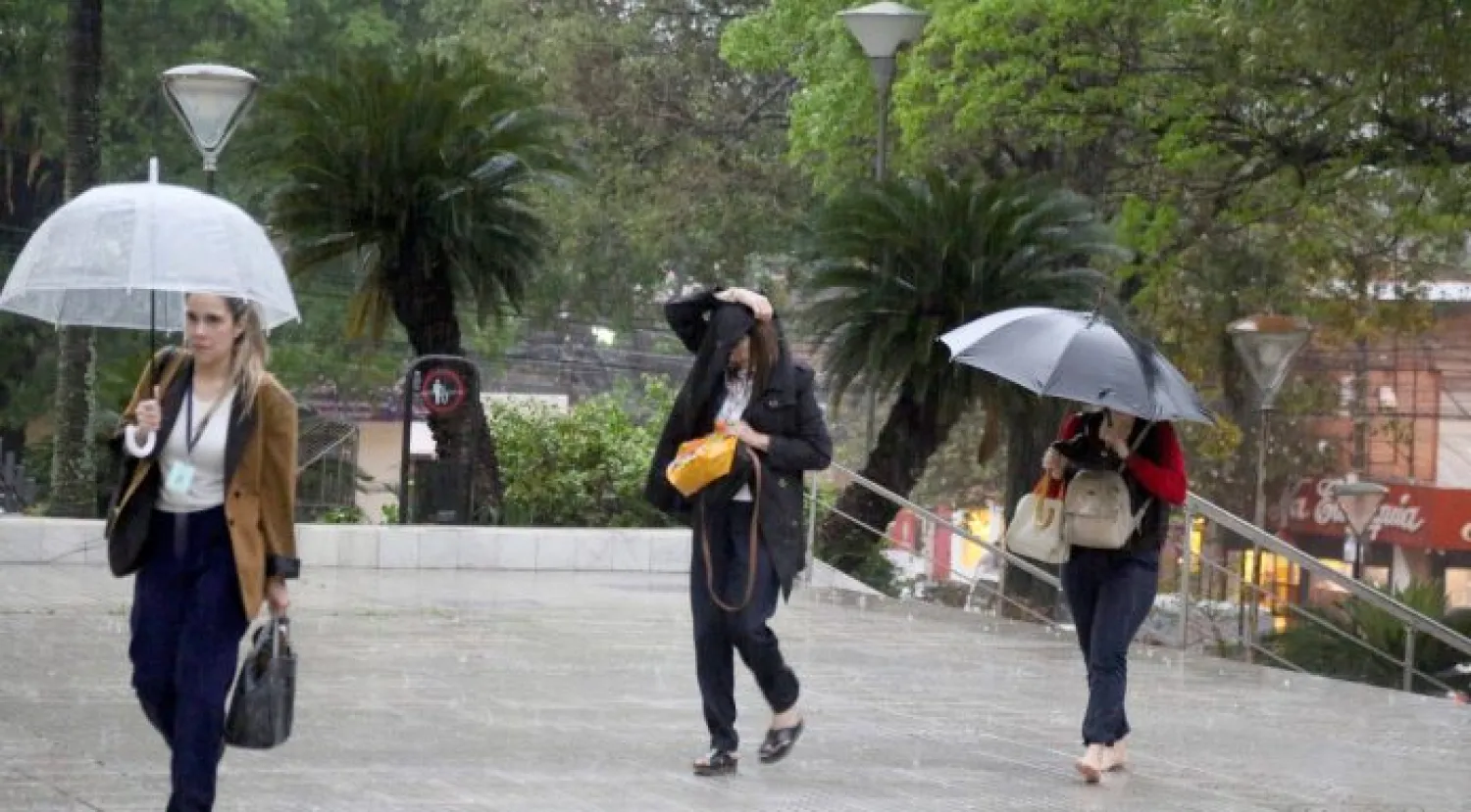 Domingo con lluvias y tormentas en gran parte del pas