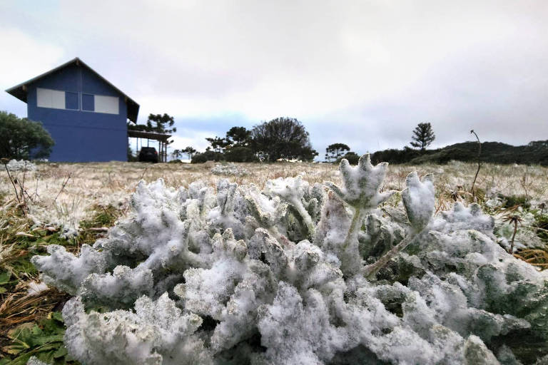 Inusual caída de nieve en el Estado brasileño de Santa Catarina