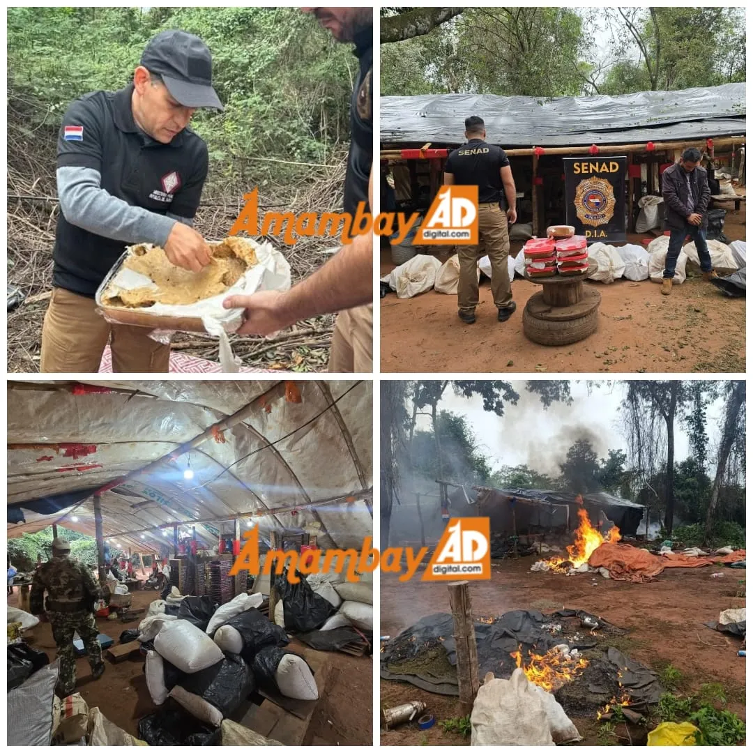 Operación Tormenta: desarticulan estructura de tráfico de marihuana VIP