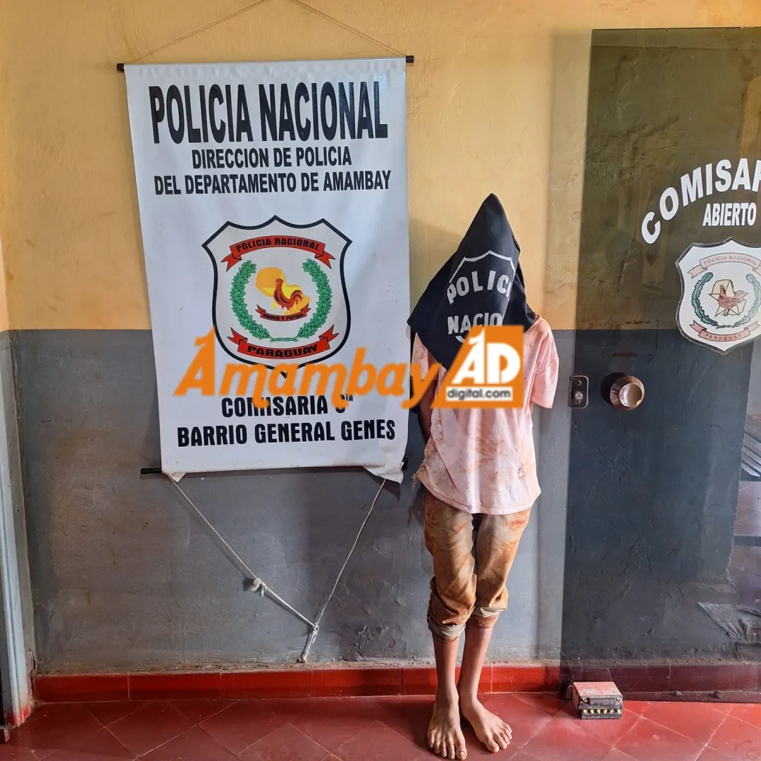 Detenido menor de edad por hurto domiciliario en la Fracción El Mangal