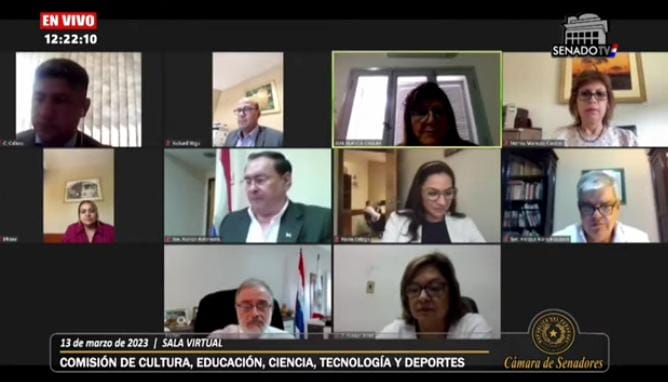 Comisión de Educación del Senado con visión corta respecto a la Educación Superior