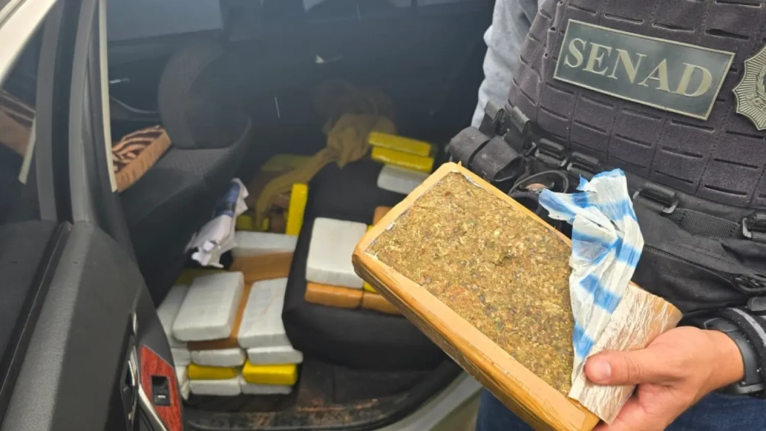 Incautan más de 82 kilos de marihuana de alta calidad en San Pedro