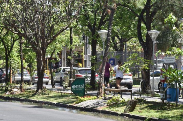 Ambiente fresco a cálido para este lunes