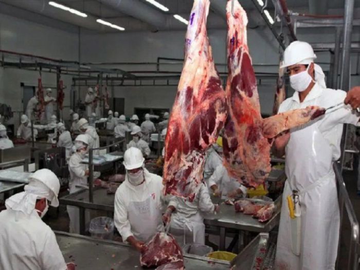 Frigorífico suspende actividades tras casos de Covid-19