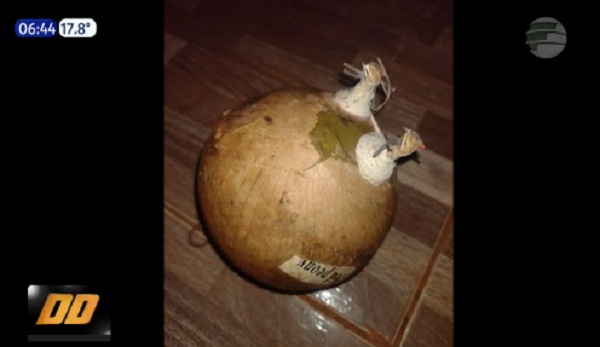 Niños hallan “explosivo” dentro de una pelota en Encarnación