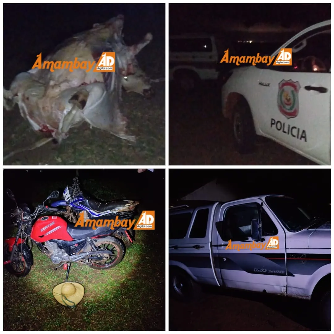 Enfrentamiento con abigeos: Policía recupera vehículos y animales faenados en Colonia Cabecerita