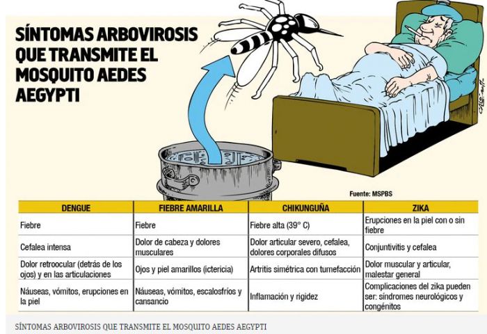 Casos de dengue en aumento: vómitos y dolor de panza, síntomas clave