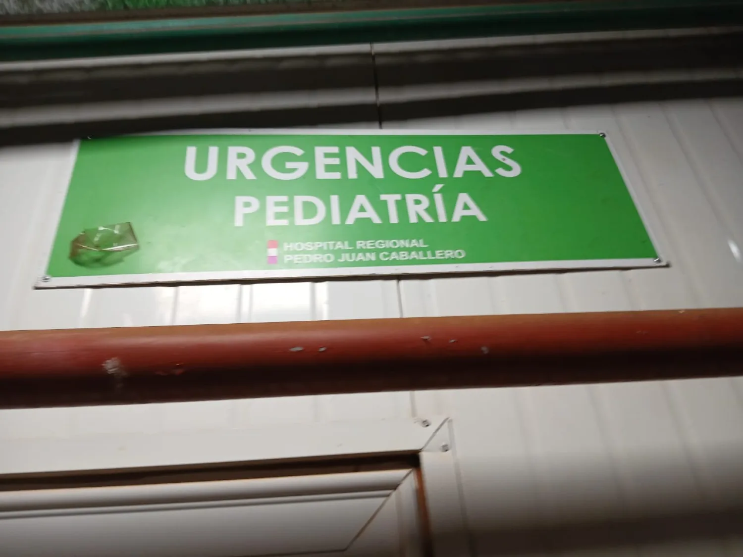 Niño de 2 años fue mordido por una serpiente yarará en una estancia y fue trasladado al Hospital Regional de PJC