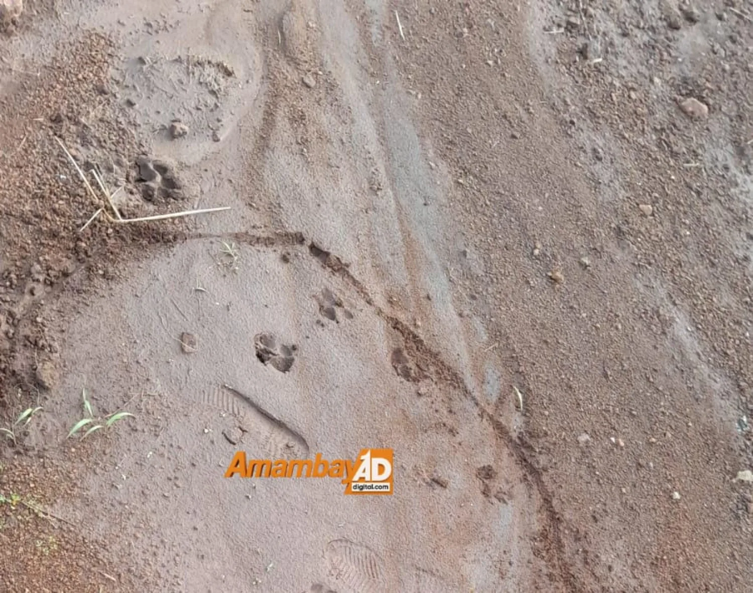 Hallan huellas que podrían ser del pequeño Mathias y refuerzan búsqueda en un arroyo