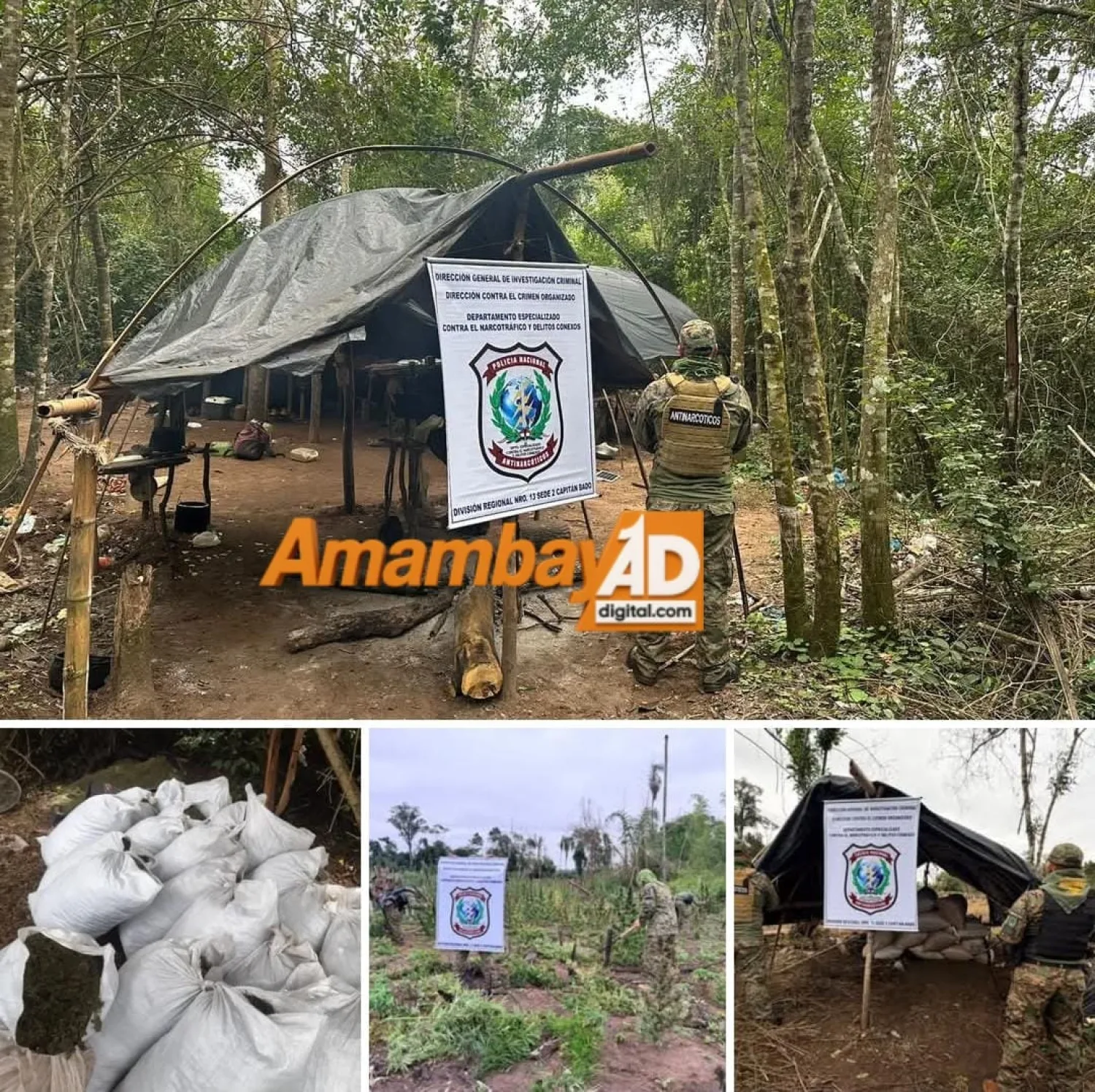 𝗔𝗺𝗮𝗺𝗯𝗮𝘆 | 𝗔𝗹𝗹𝗮𝗻𝗮𝗺𝗶𝗲𝗻𝘁𝗼 𝗱𝗲 𝗶𝗻𝗺𝘂𝗲𝗯𝗹𝗲 𝗿𝘂𝗿𝗮𝗹, 𝗰𝗼𝗿𝘁𝗲 𝘆 𝗱𝗲𝘀𝘁𝗿𝘂𝗰𝗰𝗶𝗼́𝗻 𝗱𝗲 𝘀𝘂𝗽𝘂𝗲𝘀𝘁𝗮 𝗽𝗹𝗮𝗻𝘁𝗮𝗰𝗶𝗼́𝗻 𝗱𝗲 𝗺𝗮𝗿𝗶𝗵𝘂𝗮𝗻𝗮 𝗲𝗻 𝗲𝘁𝗮𝗽𝗮 𝗱𝗲 𝗰𝗼𝘀𝗲𝗰𝗵𝗮