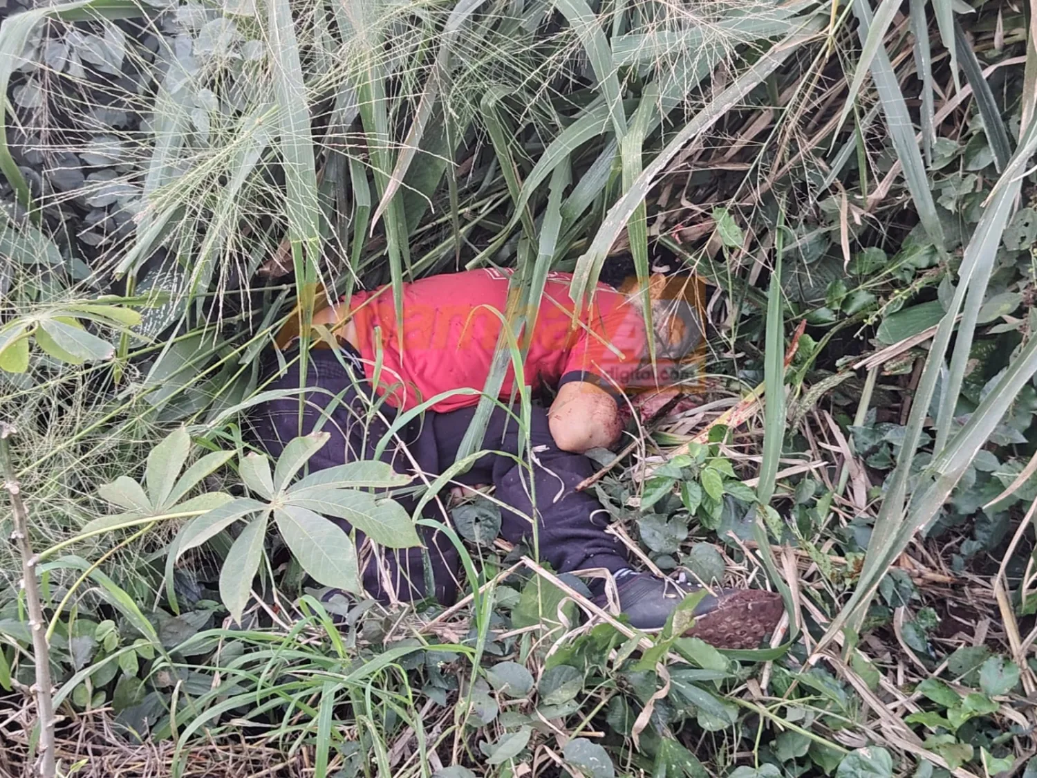 Irrumpen en una vivienda y asesinan a un hombre con presunta escopeta en Pedro Juan Caballero