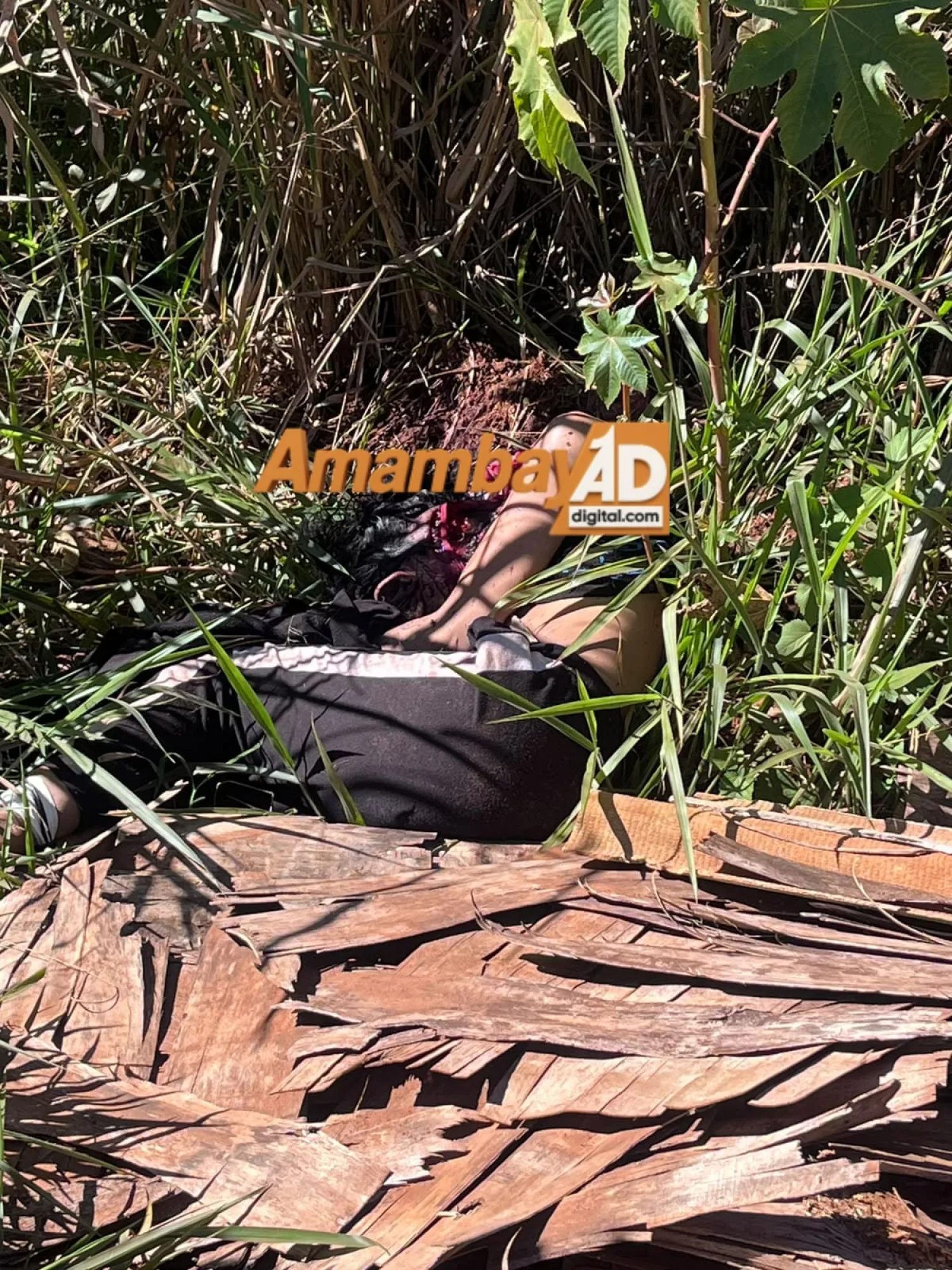 Médico forense confirma que mujer hallada en Cerro Corá'i murió tras ser degollada; tenía signos de tortura y estaba maniatada
