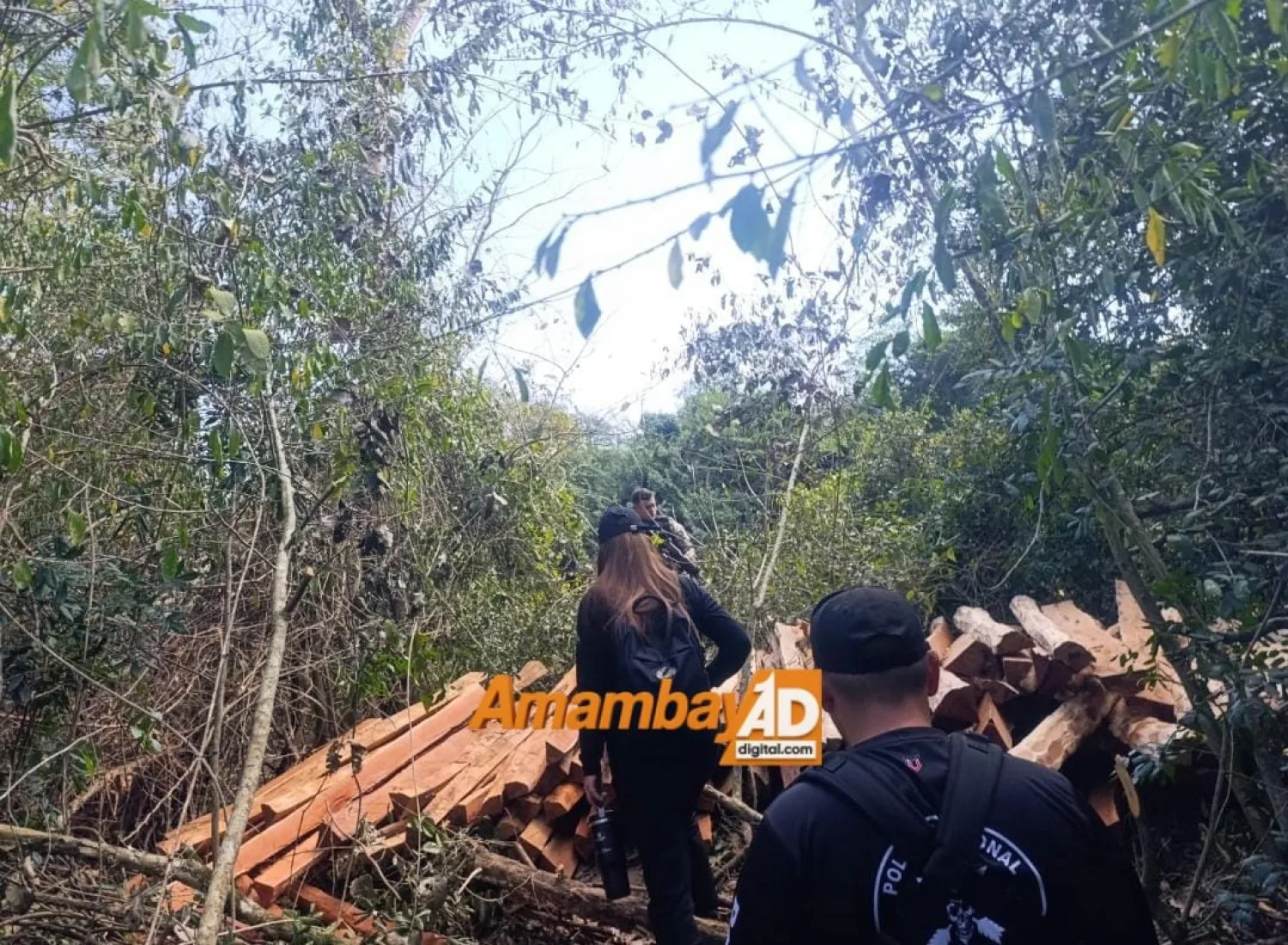Allanamiento por delitos ambientales deja tres aprehendidos e incautación de armas y evidencias en Amambay