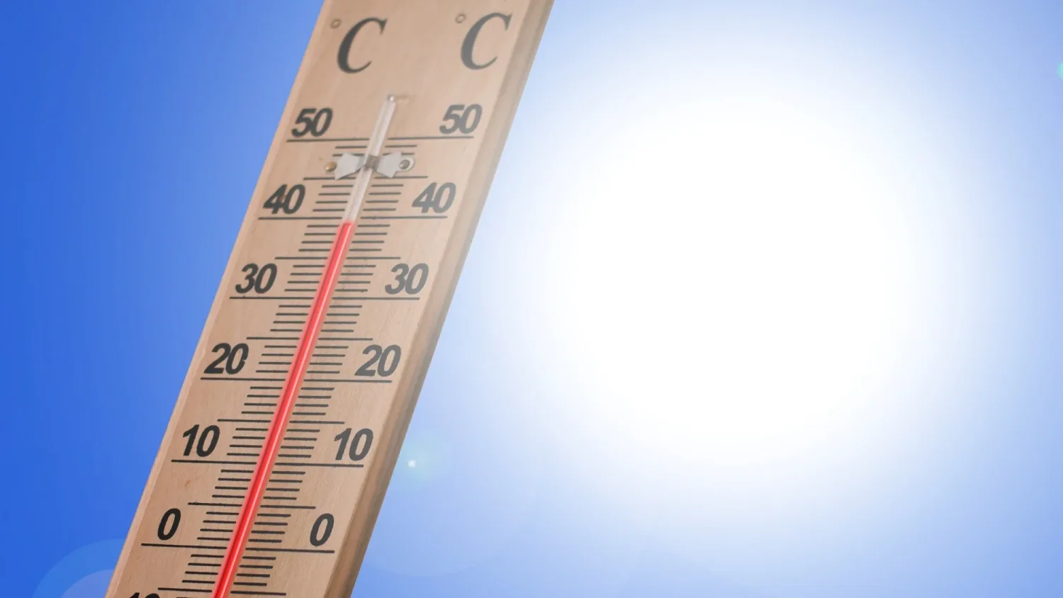 La ola de calor de finales de junio causó 9.600 muertes en Alemania