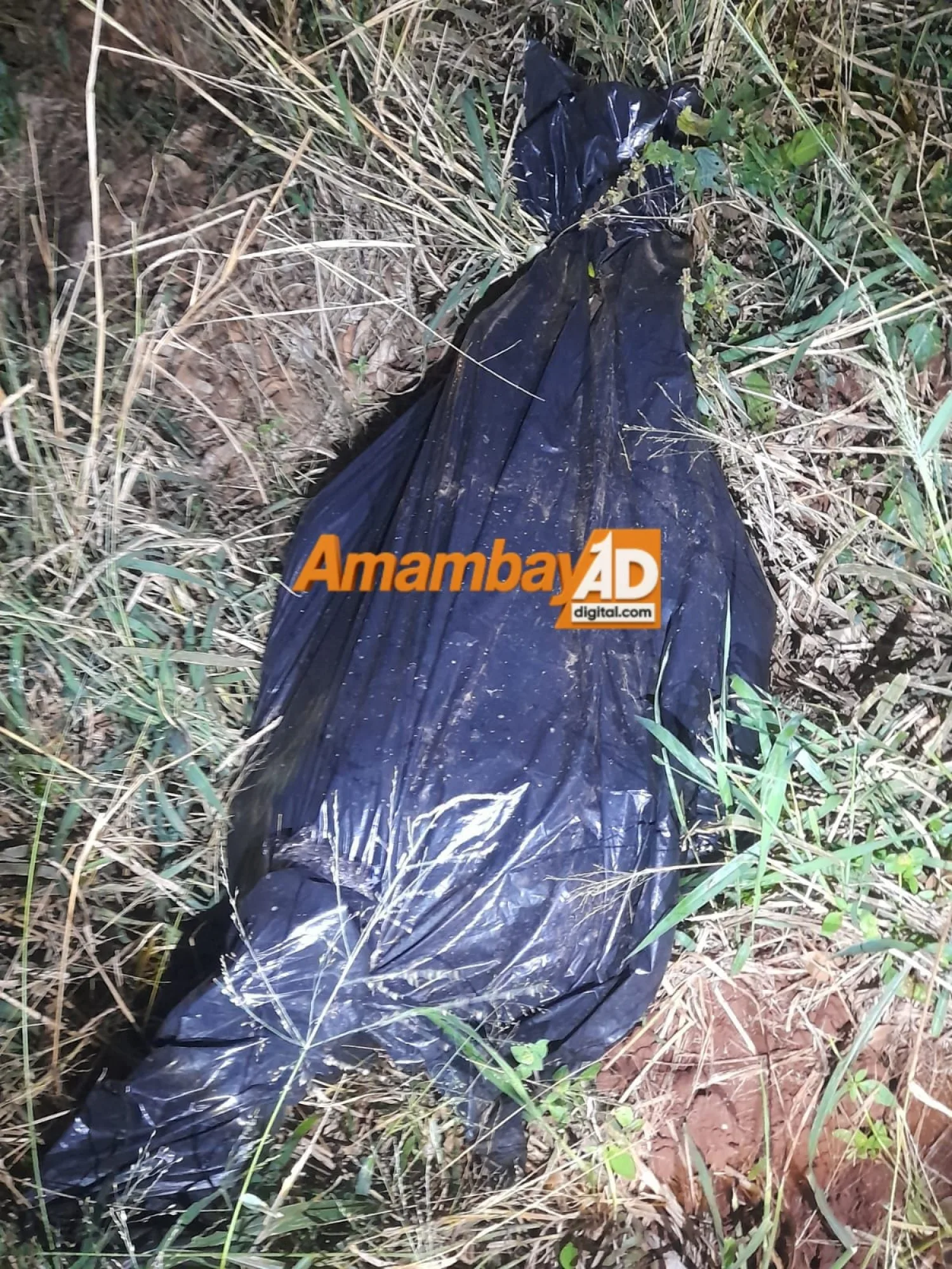 Hallan cuerpo envuelto en una carpa negra en zona boscosa de Zanja Pytã