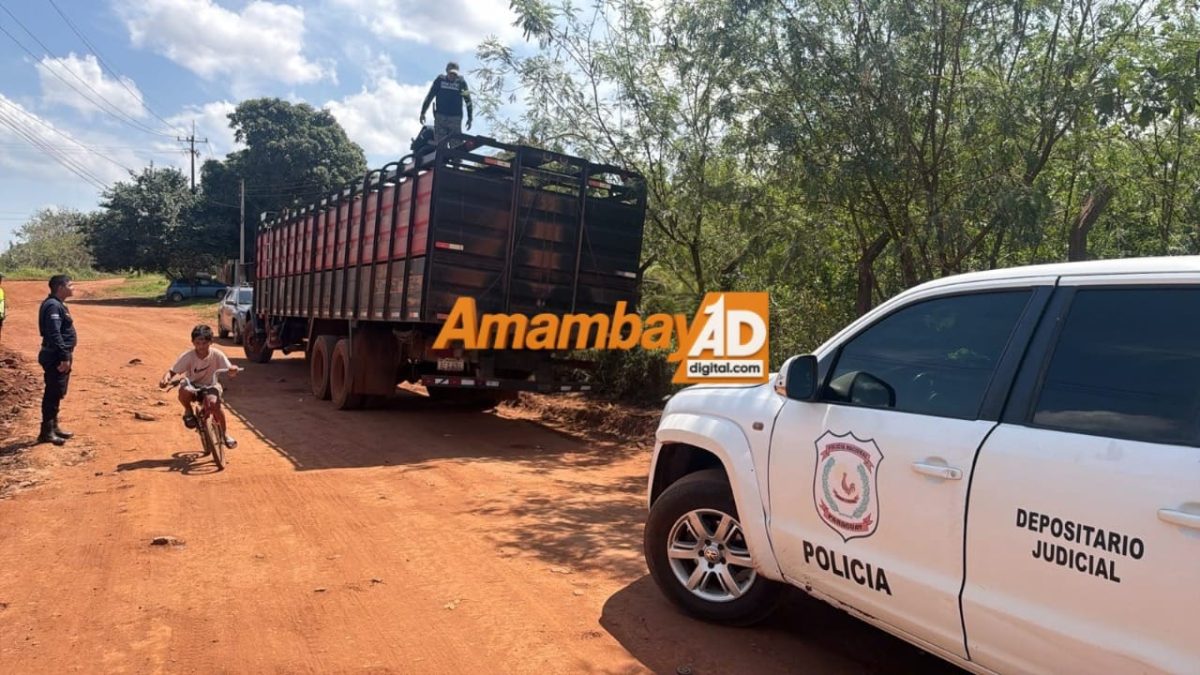 Retienen camión con 20 cabezas de ganado por documentación vencida en Pedro Juan Caballero