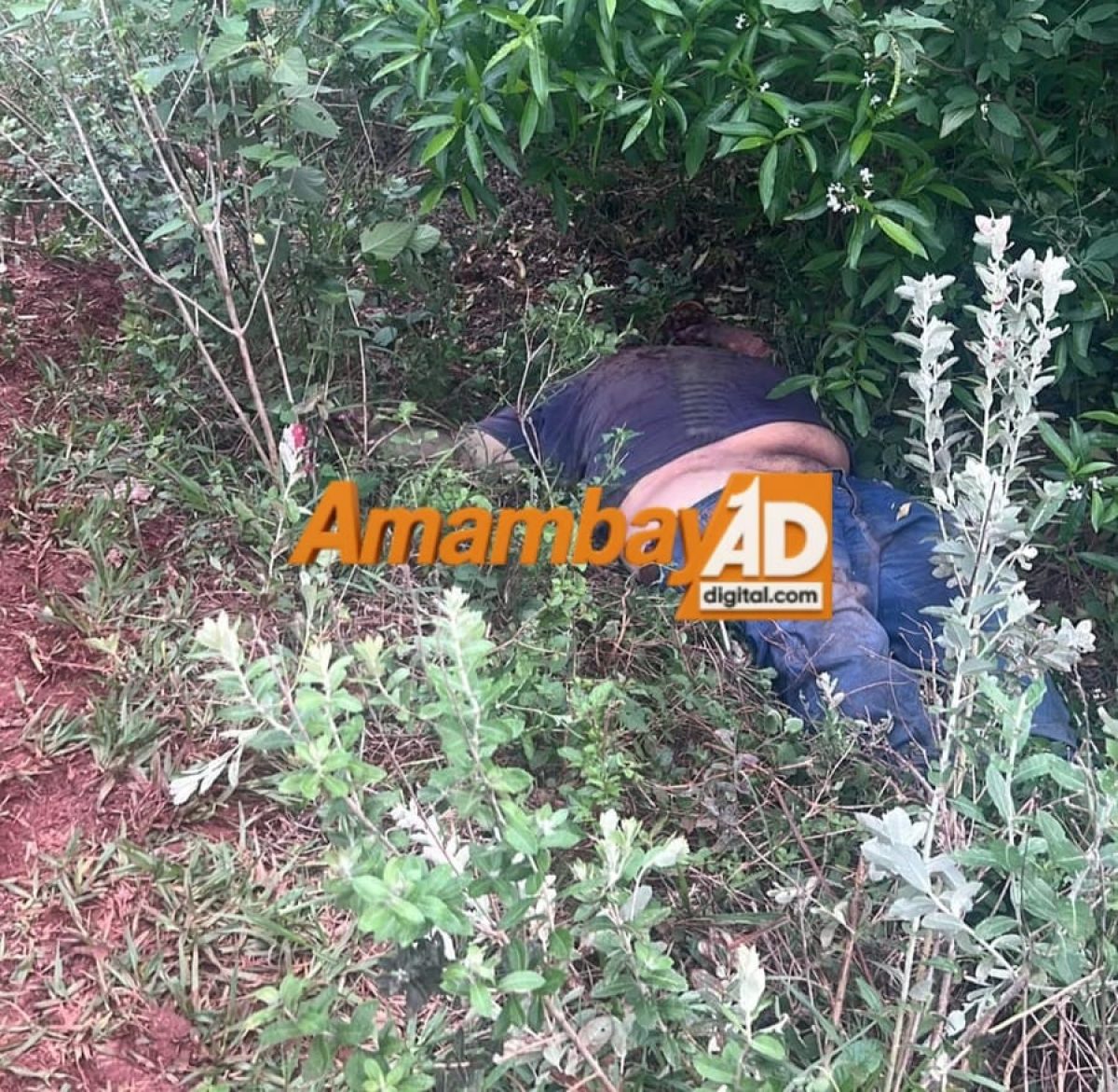 Matan de un disparo en la cabeza a un hombre en un establecimiento rural de Yvype