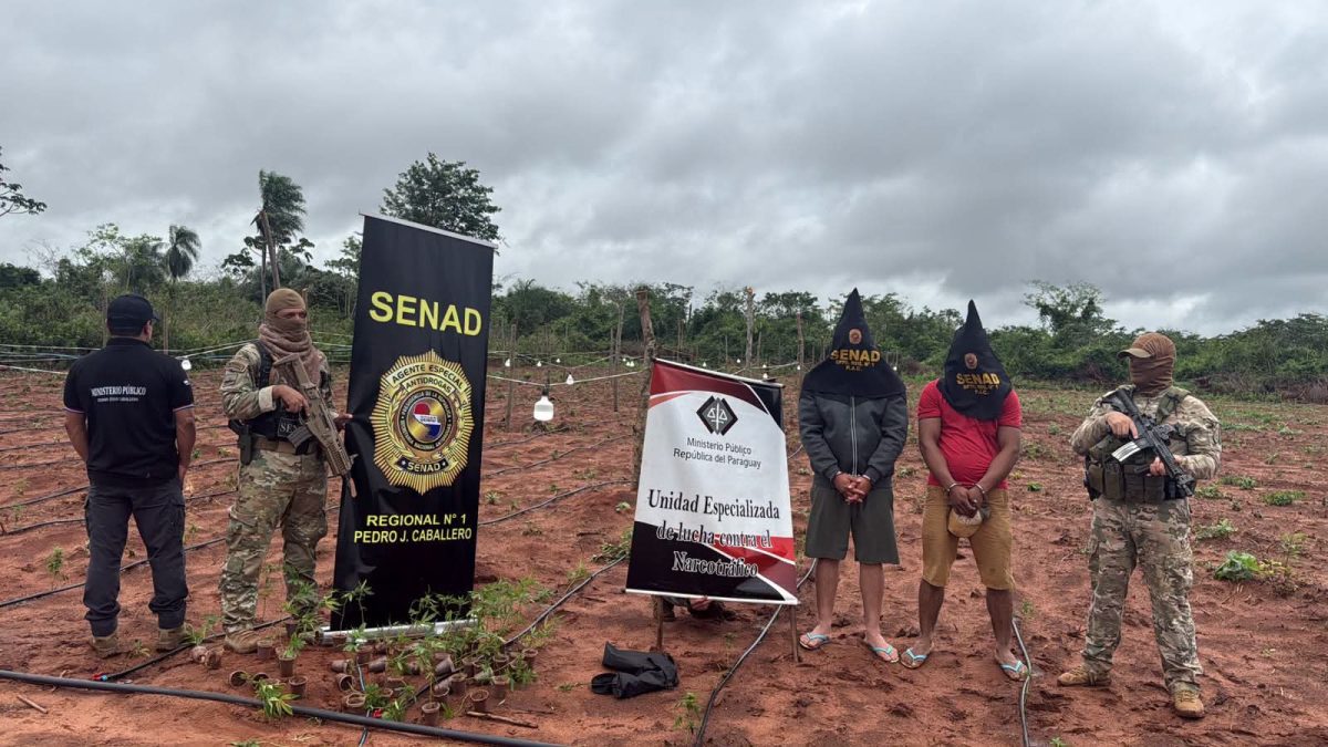 Allanamiento en Karapaí deja dos detenidos y más de 116 kilos de marihuana incautados