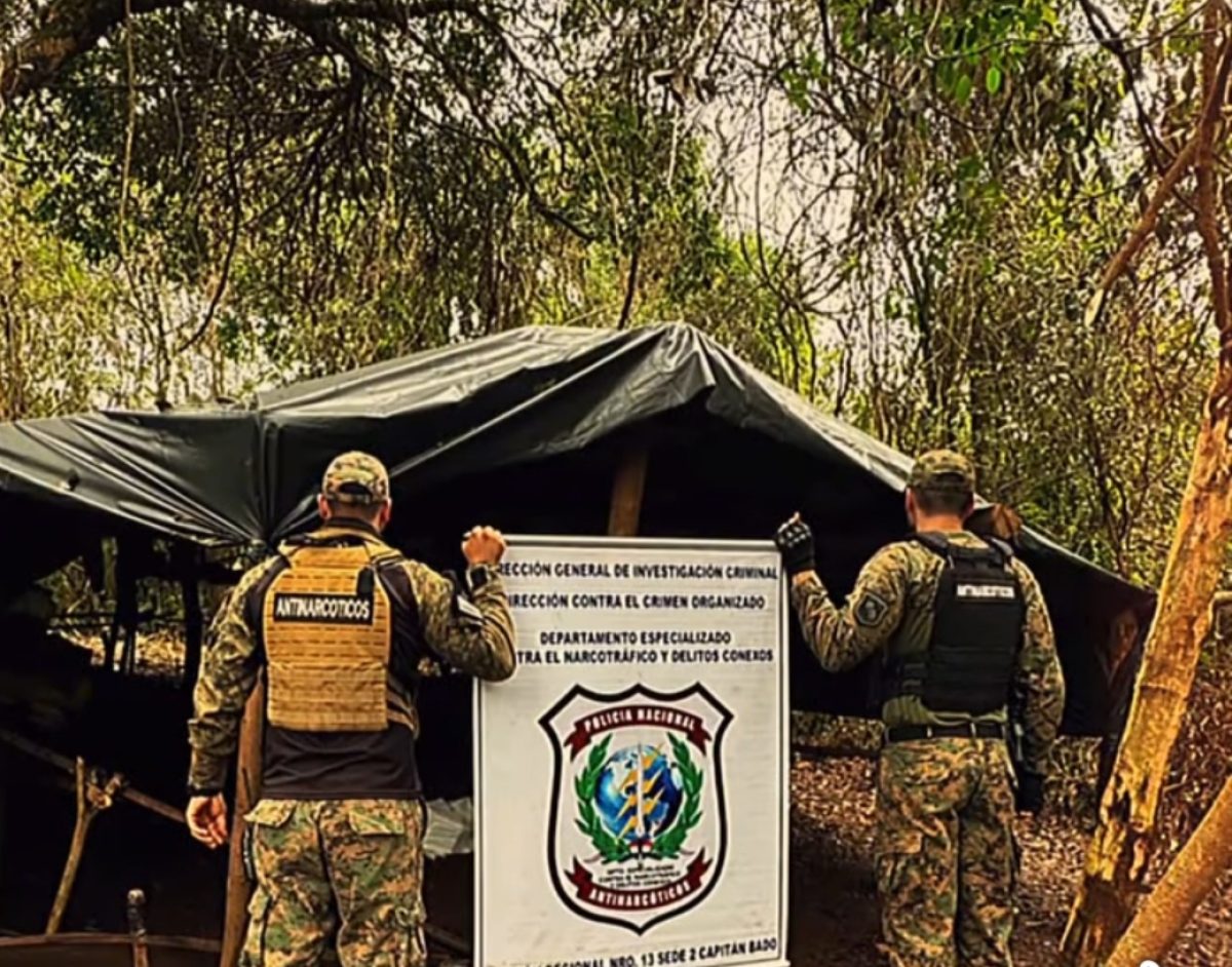 Operativo antidrogas en Capitán Bado dejó millonaria pérdida a productores de marihuana
