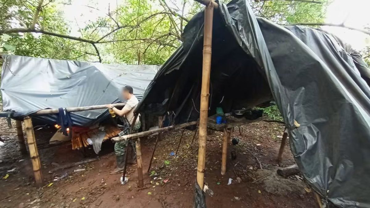 Golpe al narcotráfico en Amambay: destruyen marihuana valuada en USD 450.000