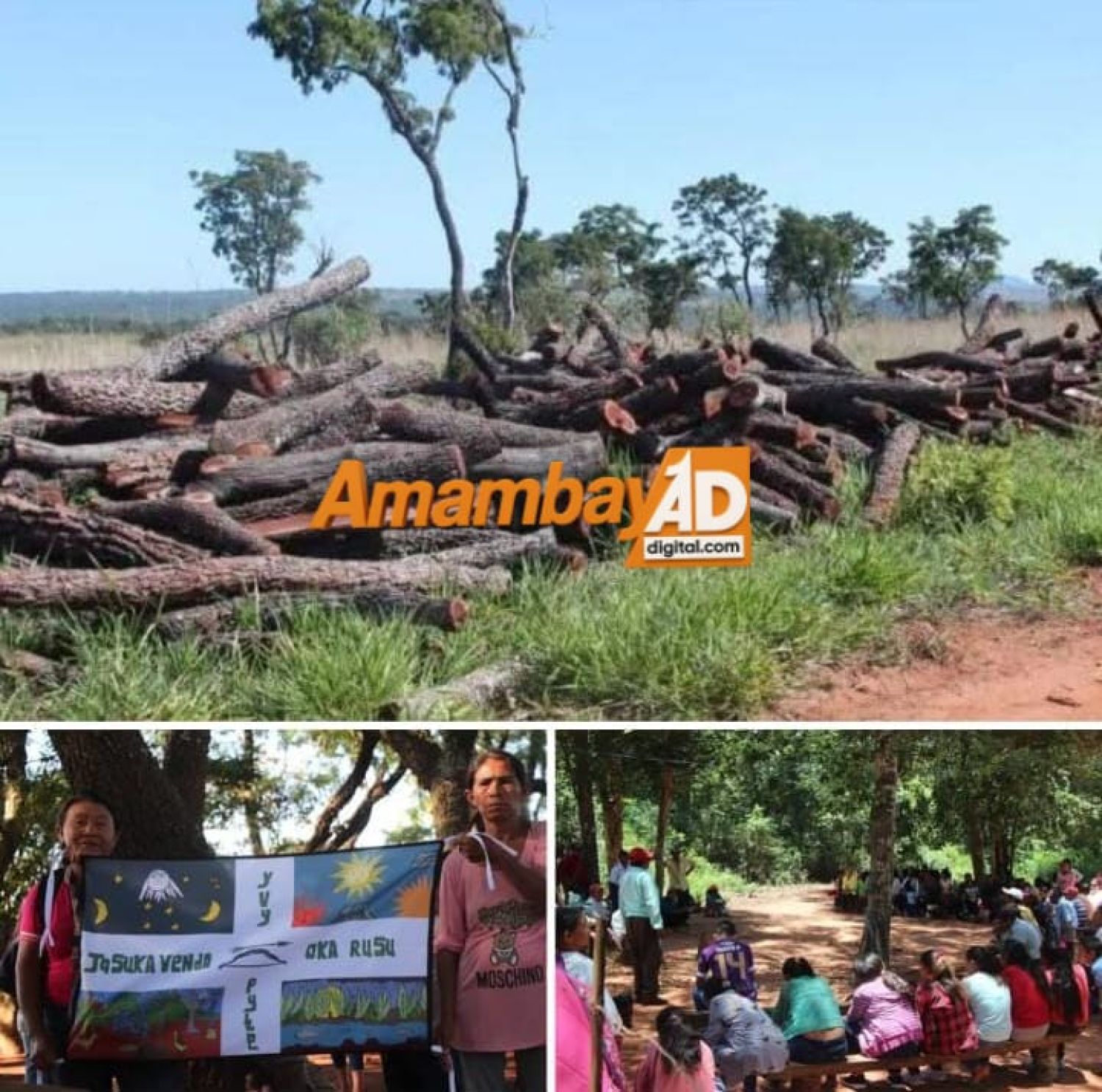 Denuncia de tala ilegal y atropello al territorio ancestral Paĩ Tavyterã en Amambay