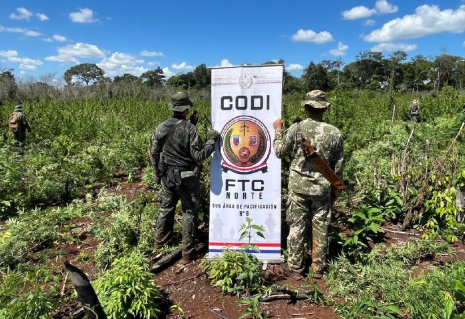 Operación Escudo Guaraní: Masivo golpe al narcotráfico en Amambay